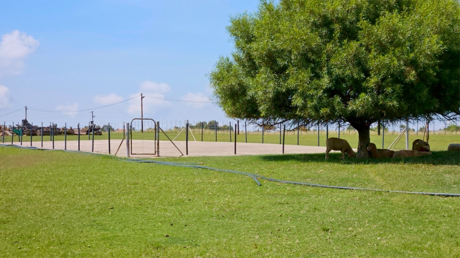 3 Bedroom Property for Sale in Oranjeville Free State